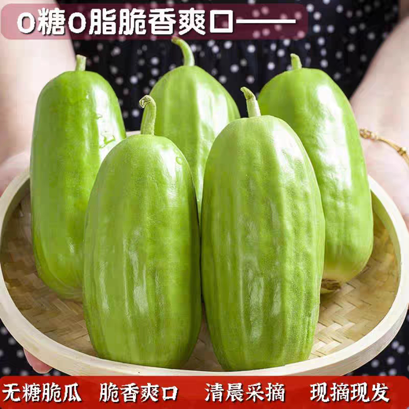 顺丰八棱脆瓜菜瓜新鲜现摘孕妇老人生吃水果无糖烧瓜非玉女甜瓜