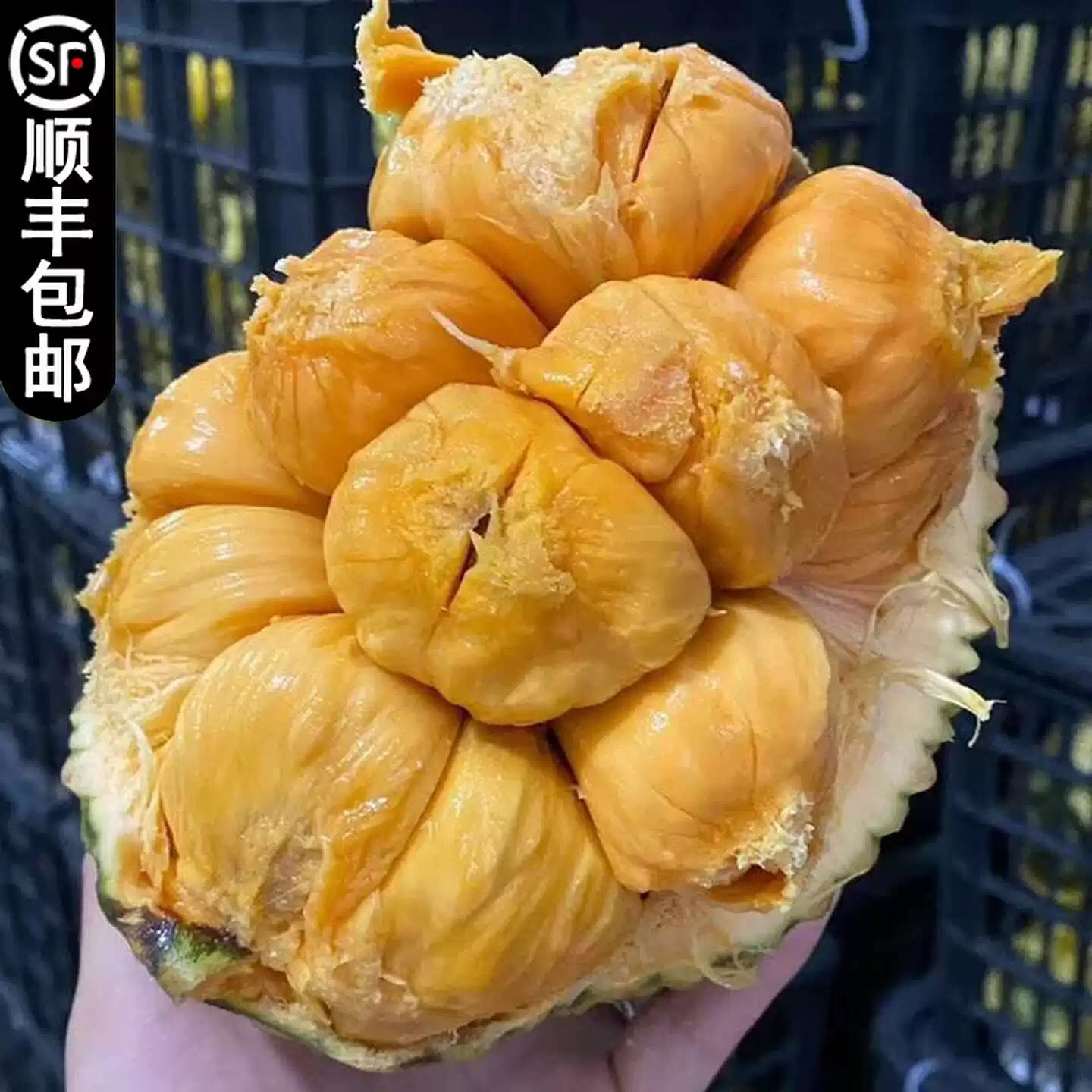 海南正宗榴莲蜜新鲜水果香甜软糯海红一号红肉湿包菠萝蜜
