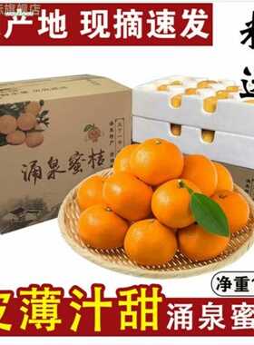 正宗涌泉蜜桔临海薄皮橘子无核宫川黄岩蜜橘10斤整箱新鲜老树桔子