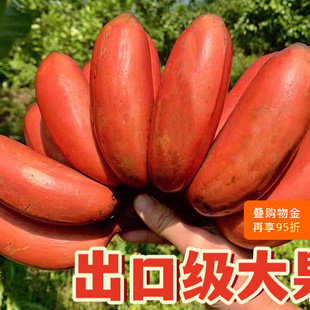 正宗广西红美人香蕉banana当季新鲜水果整箱10斤自然熟红蕉香蕉