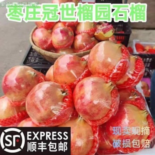 枣庄特产当季孕妇水果新鲜包邮黑籽石榴半口酸甜特酸纯酸石榴泡酒