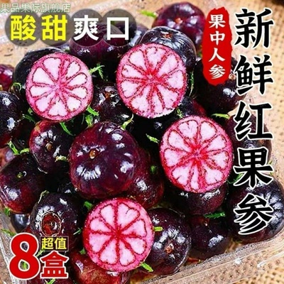 云南高原特色红果参马关红果参新鲜早熟果小红果新奇果果原产地