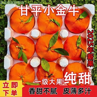四川甘平柑橘皇后眉山小金牛蜜柑现摘现发甜多汁大果新鲜水果