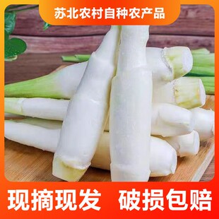 茭白新鲜农家蔬菜自产自销高笋茭瓜高瓜现摘现发孕妇月子带壳发货