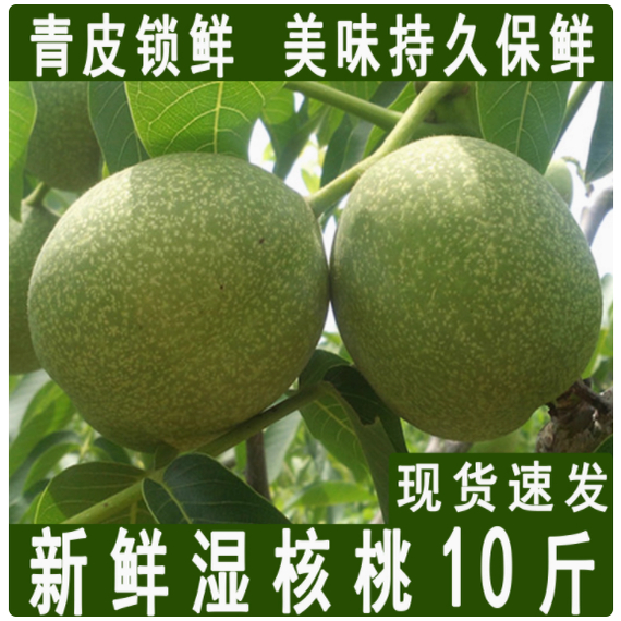 2025新鲜核桃去青皮湿嫩生核桃现摘绿薄皮核桃仁孕妇专用黑桃整箱