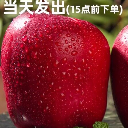 宗正花牛苹果新鲜水果现摘当季整箱红蛇粉面平果糖心丑果