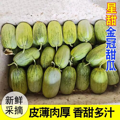 山东头茬星甜金冠蜜瓜冰糖罐甜瓜当季羊角蜜香瓜新鲜脆甜现摘水果