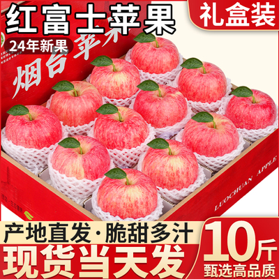 正宗山东烟台红富士苹果旗舰店栖霞苹果新鲜想现摘一级大果礼盒9