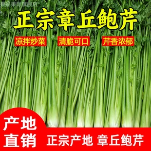 25年新鲜章丘鲍芹礼盒山东特产蔬菜家用炒菜凉拌食用产地直发