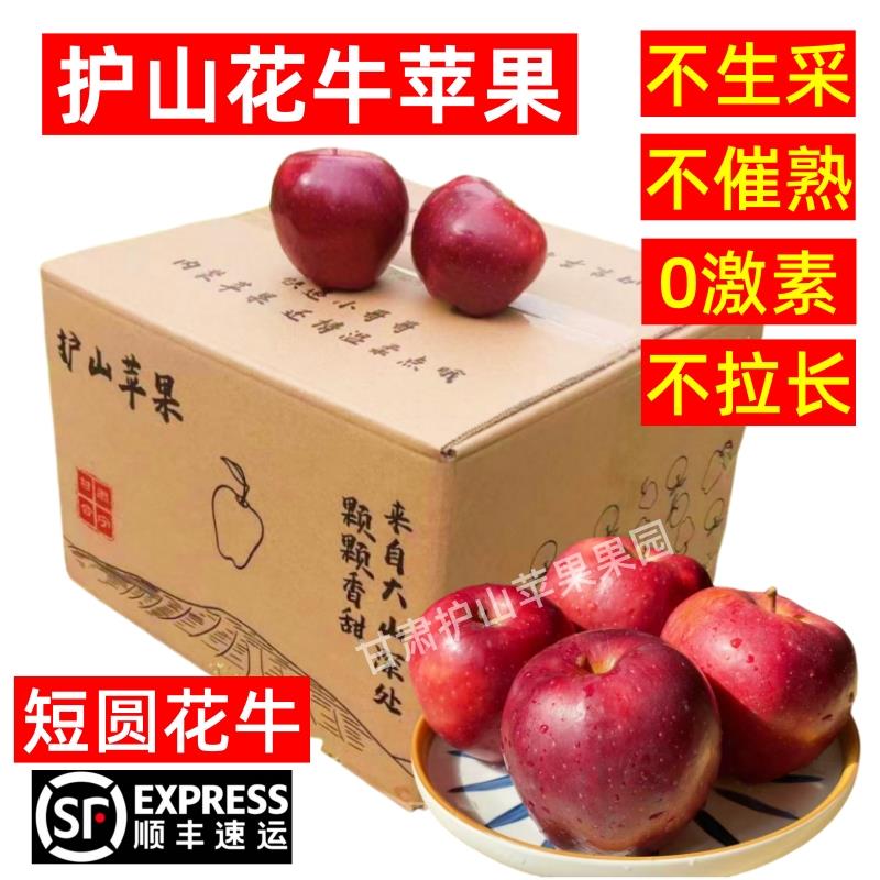 甘肃会宁护山花牛苹果水果新鲜粉面苹果老人婴儿辅食生鲜整箱包邮
