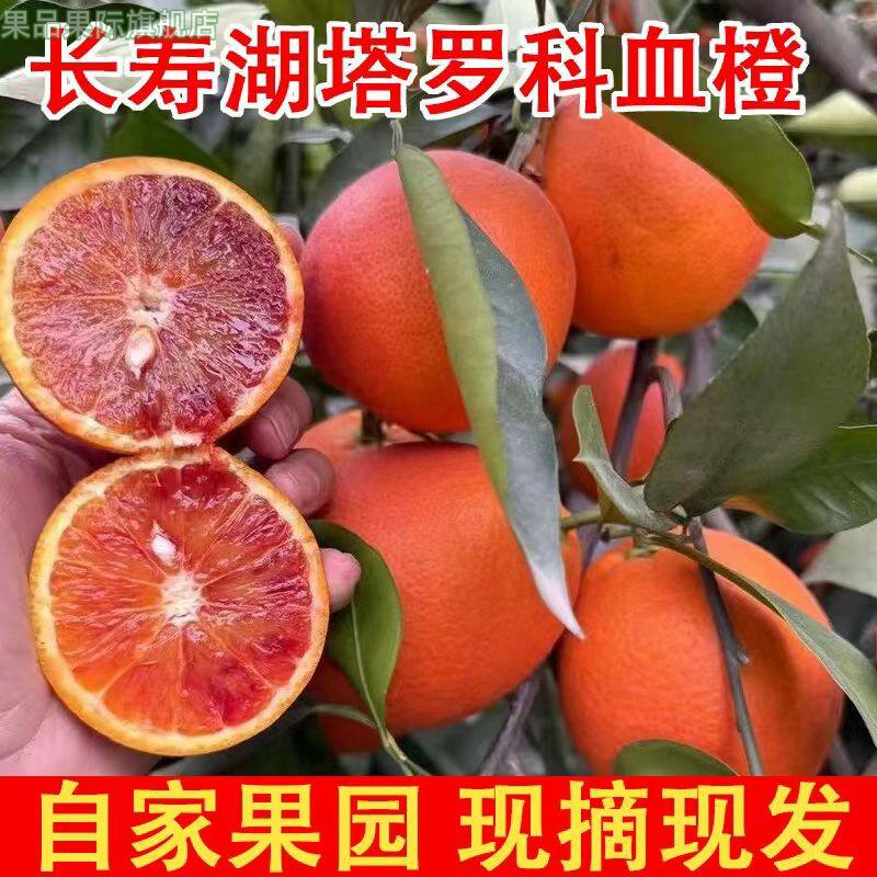 正宗重庆长寿湖塔罗科血脐橙直发新鲜带叶应季水果现摘现发