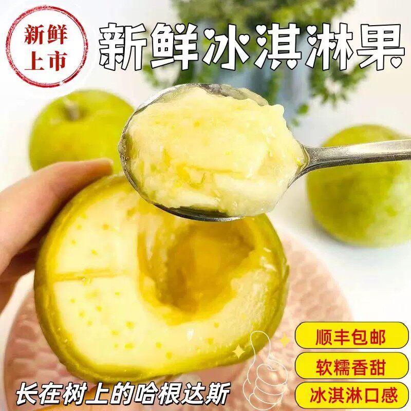 【顺丰包邮】新鲜冰淇淋果白柿热带稀有罕见水果现摘现发网红软糯