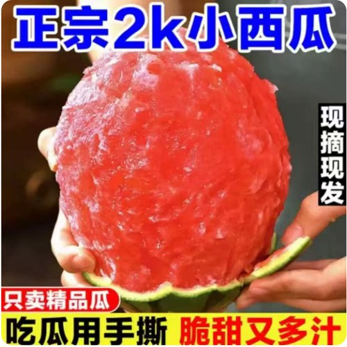 手剥皮小西瓜2K小糖丸西瓜新鲜水果薄皮红肉脆甜手撕西瓜甜瓜整箱