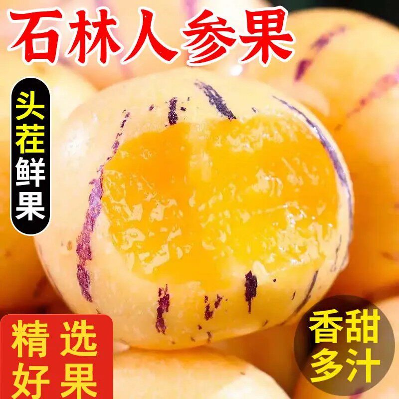 正宗新鲜人参果云南石林树上熟黄肉超大果当季整箱包邮人生果水果