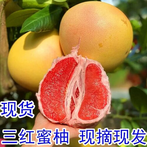 福建三红蜜柚红肉密柚红心柚子