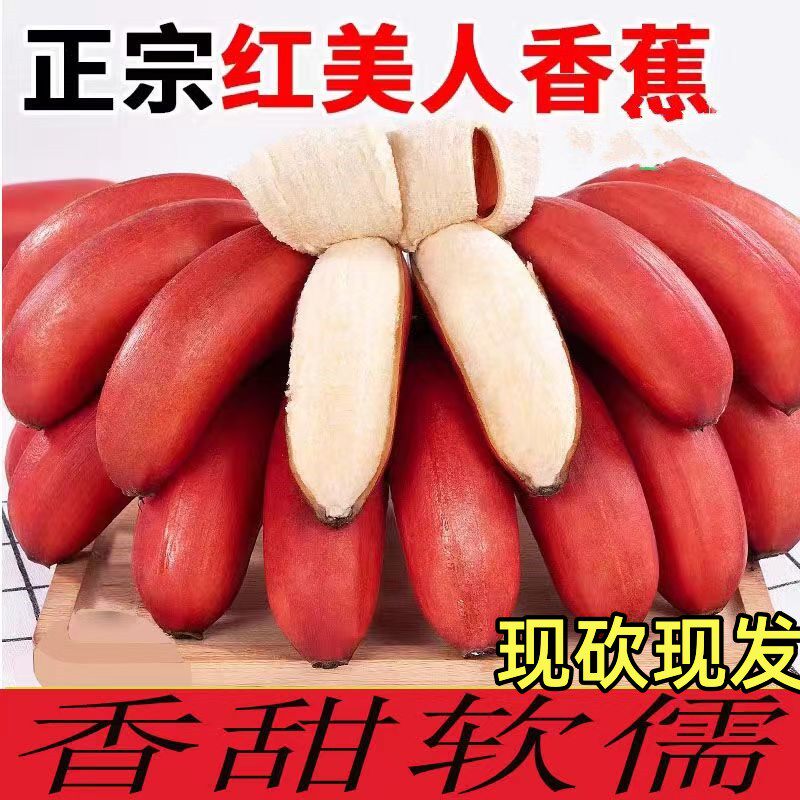 福建漳州红美人香蕉整箱5斤应季新鲜水果香甜土楼红皮banana水果L