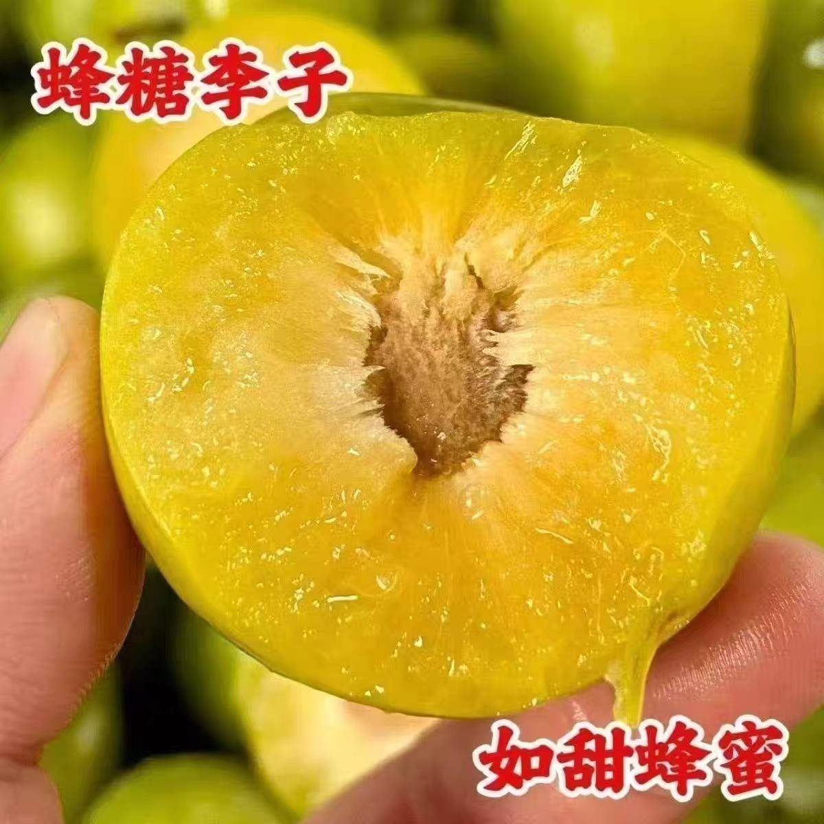 贵州镇宁六马蜂糖李新鲜现摘现发脱骨应季大李子孕妇水果