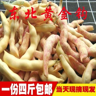 速冻东北油豆角新鲜黄金勾豆角鼓豆豆角勾勾黄豆角兔子翻白眼4斤