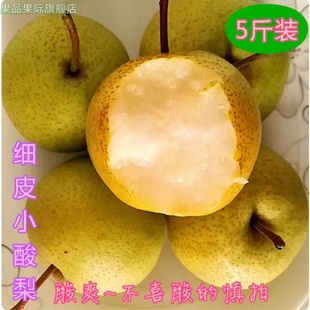天津农家蓟州酸梨产地蓟县山区细皮小酸梨安梨2025年老酸梨包邮