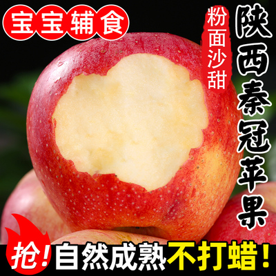 陕西秦冠粉面沙甜苹果新鲜当季老人宝宝刮泥9斤秋冬应季水果整箱
