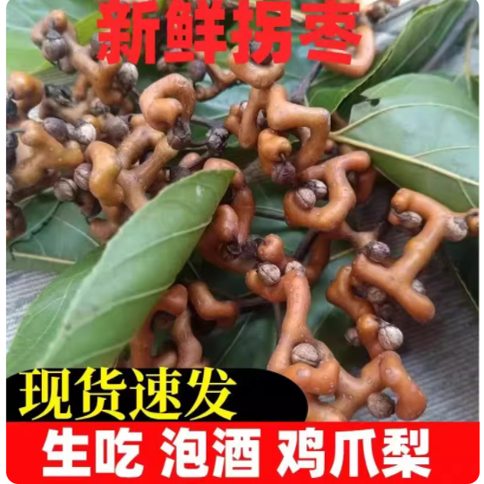 25年现货新鲜拐枣枳椇子鸡爪梨万寿果生吃野