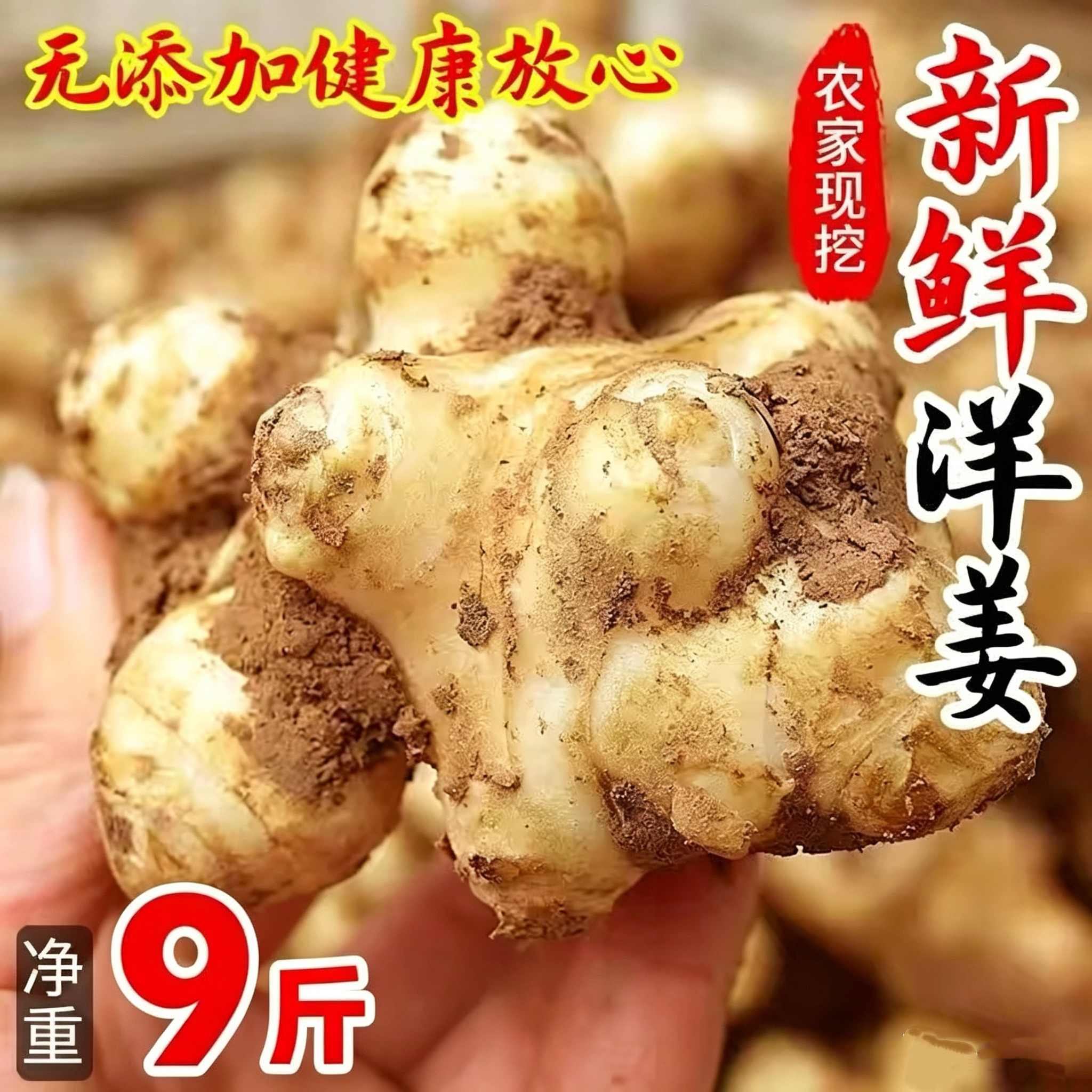 2026现挖野生洋姜9斤新鲜姜不辣生阳姜农家蔬菜泡菜酱菜凉拌菊芋