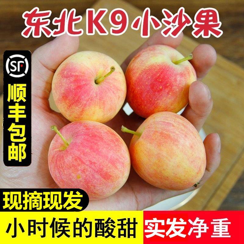 东北沙果k9新鲜现摘现发小沙果新鲜包邮孕妇水果糖心小苹果海棠果