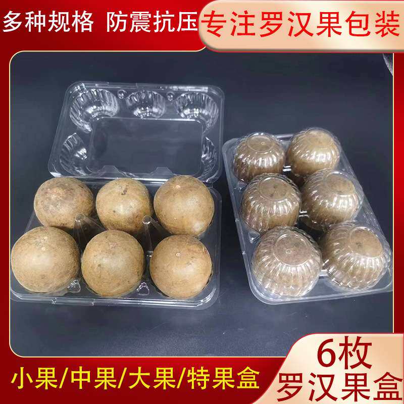 包邮6枚密封罗汉果塑料包装盒 一次性中果大果防摔罗汉果托