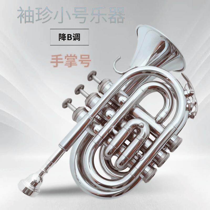 宫泽风手掌号乐器降B调西洋铜管吹奏洋号袖珍小号乐器学