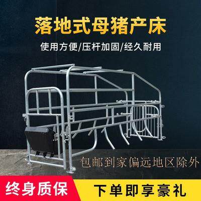母猪产床落地位产保两用养殖设保育栏定位栏产床猪笼猪栏猪产床