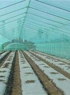 大棚透明白色布白色薄膜wu黑色地膜中膜加厚膜无滴塑料白色膜m
