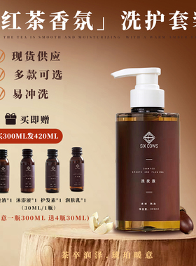 星级酒店洗护套装宾馆民宿洗发水护发素300ml大瓶装浴场洗浴用品