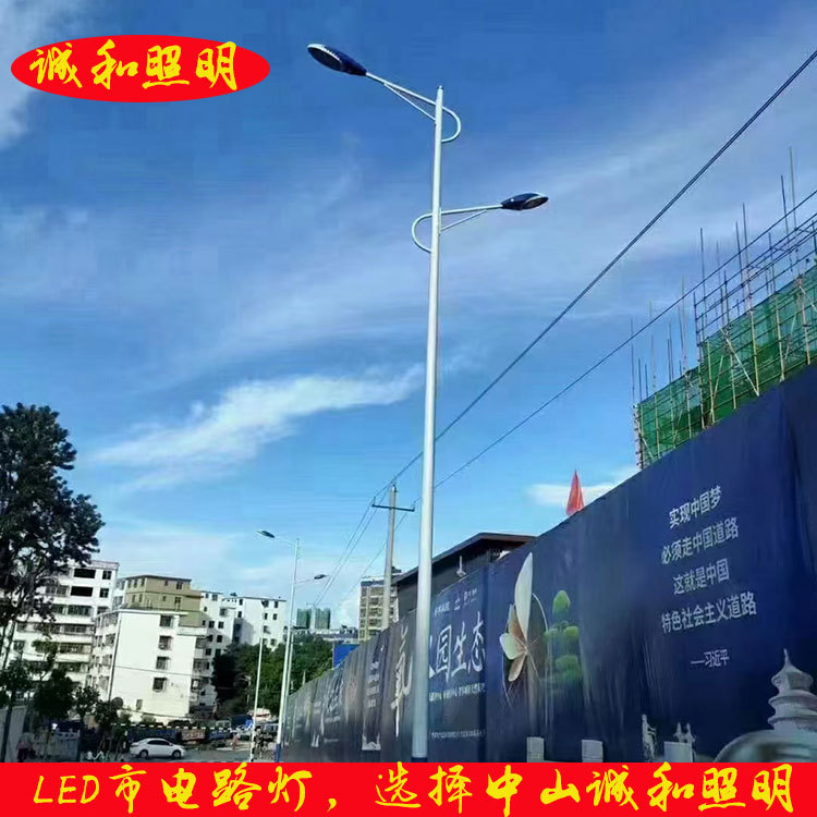 LED市电路灯厂家新款户外照明灯市政工程公路6米10米高速接电路灯