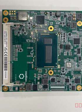 议价，congatec AG L295219 PN: 045适用