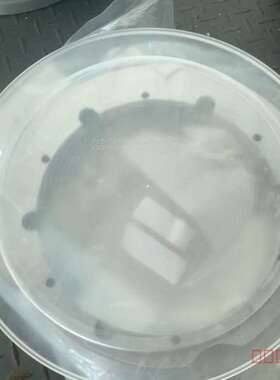 议价Lam 713-124825-001适用