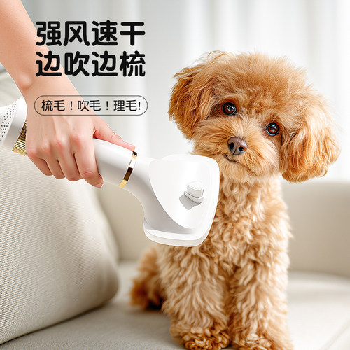 宠物吹风机狗狗拉毛一体静音专用