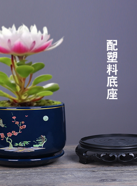 蓝色国潮花盆陶瓷带底座中国风室内阳台蝴蝶兰盆栽多肉透气绿植盆