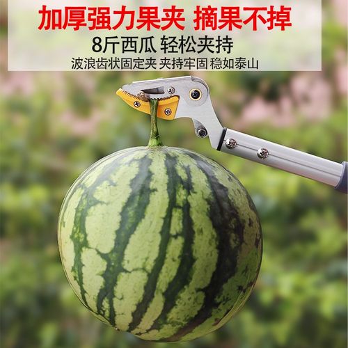 电动摘果神器伸缩杆修高枝剪高空摘果器水果采摘龙眼荔枝枇杷剪刀