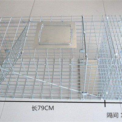 人道式救助自动捕猫笼 捉猫笼 流浪猫救助寻猫神器抓猫笼小区超市