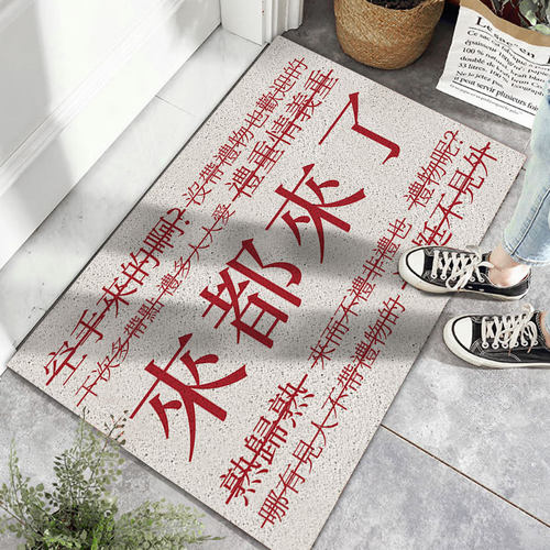 艺术家入口门口丝圈地垫画室舞蹈房户外进门入户门垫脚垫pvc地毯