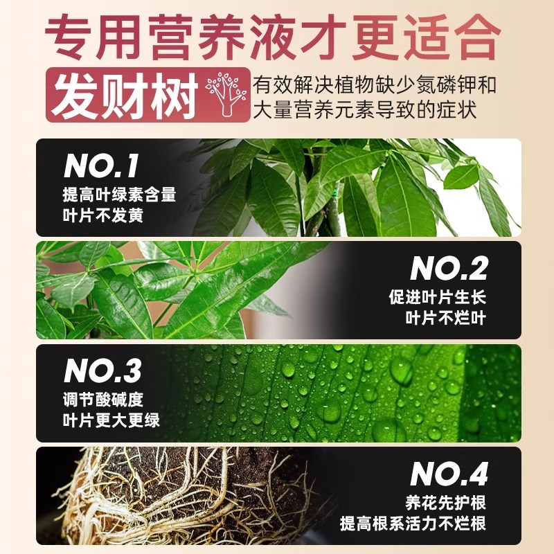 发财树营养液肥料专用肥盆栽室内黄叶枯叶烂根水培植物绿植通用肥