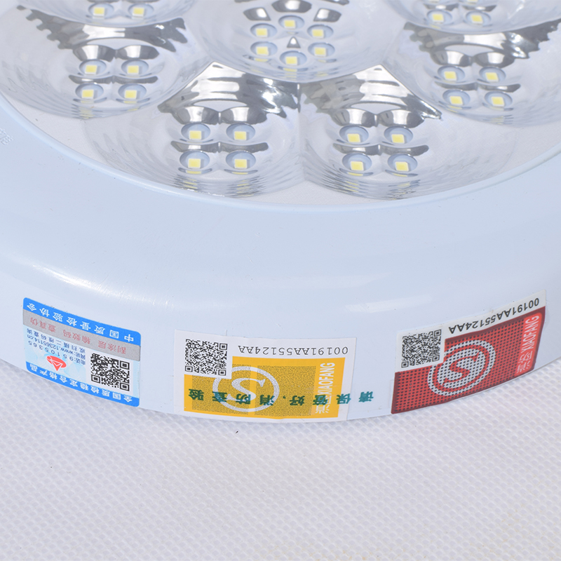 劳士消防应急灯 LED楼道感应停电灯 人体红外感应消防强启吸顶灯