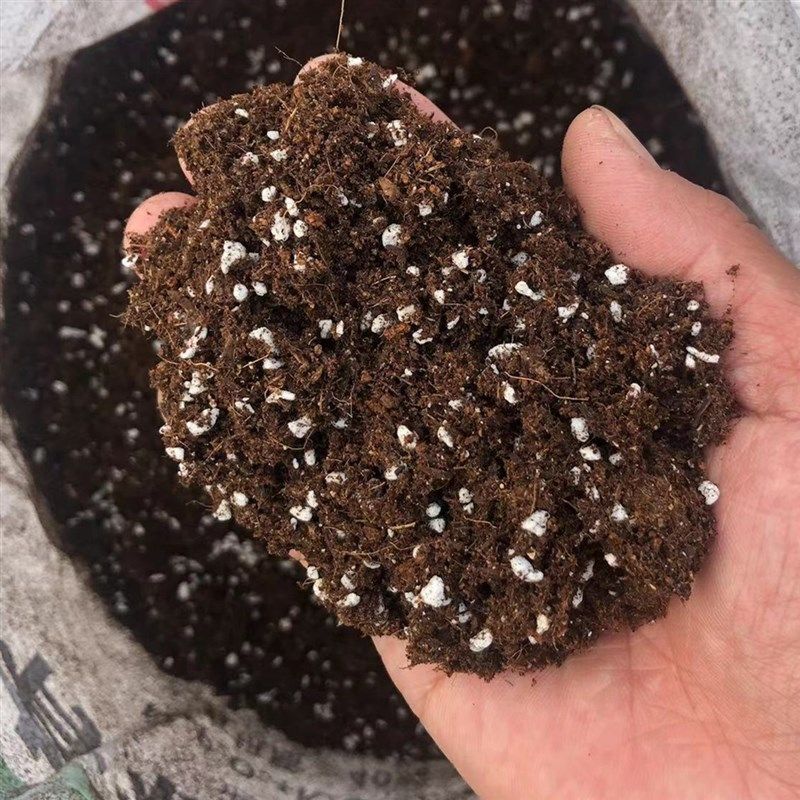 育苗专用基质营养土养花种菜家用通用土壤西瓜玉米辣椒蔬菜种植土,鲜花速递/花卉仿真/绿植园艺,家庭园艺肥料,淘宝优惠券,粉丝福利购,淘宝优惠卷