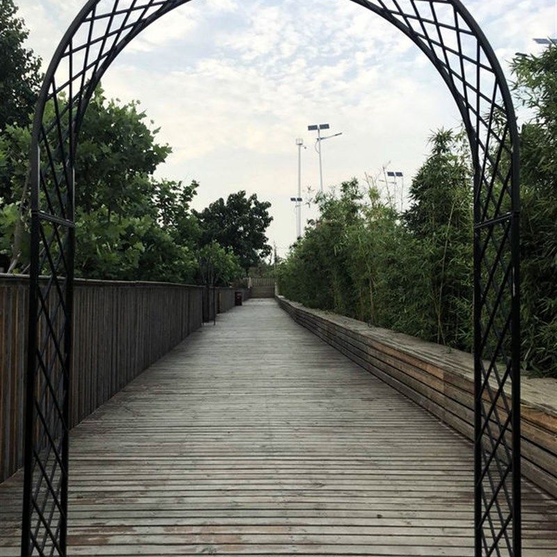 欧式铁艺拱门花架爬藤架庭院户外鲜花拱门月季爬藤庭院花园花支架