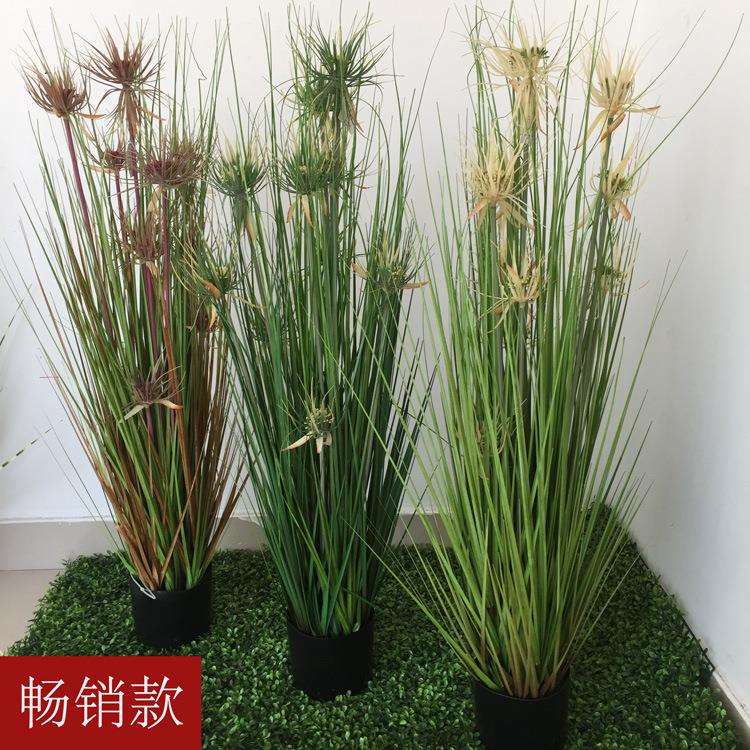 仿真晴天草盆栽芦苇草狗尾草绿植水生水草田园装饰植物盆景盆栽