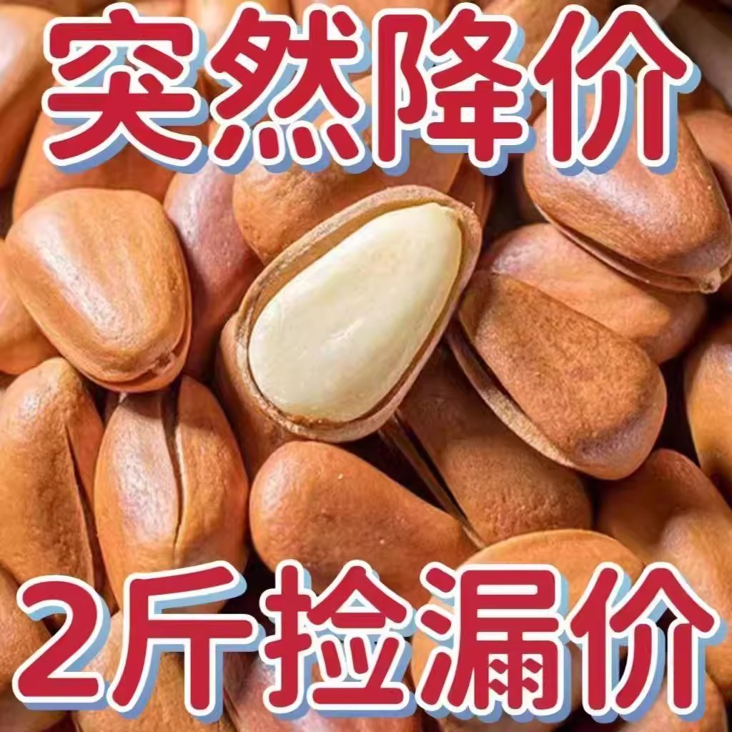 东北大红松开口松籽颗粒