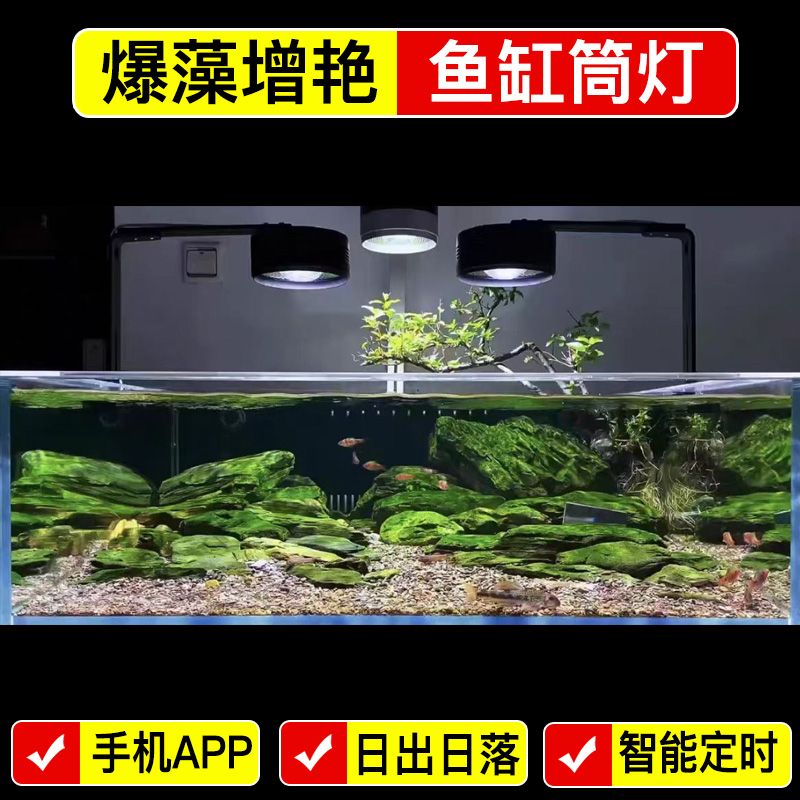 60W爆藻增艳鱼缸筒灯全光谱兰寿泰狮金鱼溪流缸原生水草led专用灯