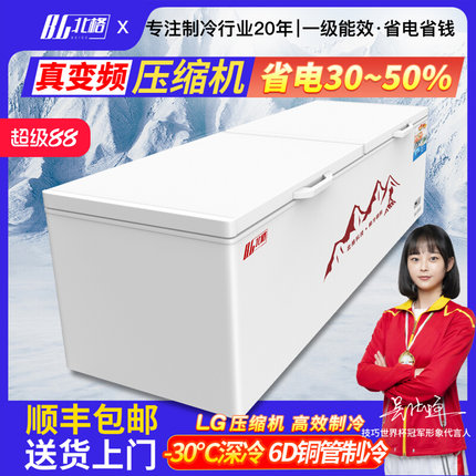 冰柜商用全冷冻柜家用冷藏两用大容量卧式双温小型冷柜雪糕柜冰箱