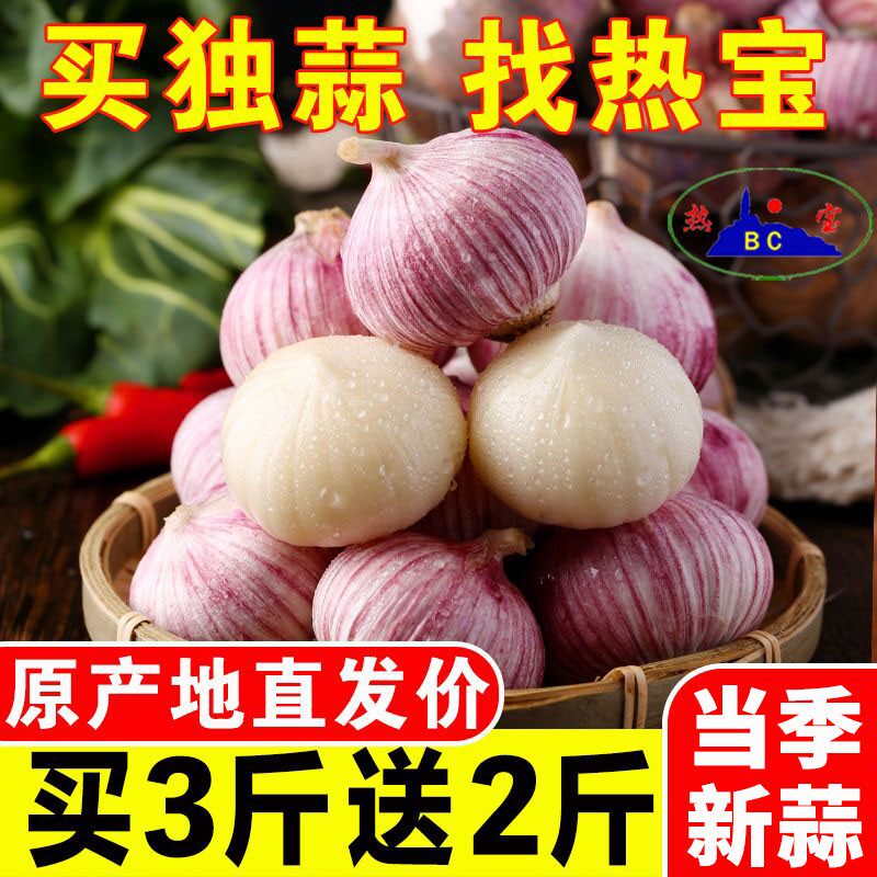 BC/热宝农家紫皮大蒜独头蒜干蒜当季蔬菜糖醋蒜腊八蒜1/2/3/5斤