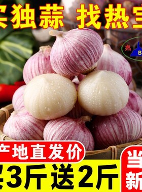 BC/热宝农家紫皮大蒜独头蒜干蒜当季蔬菜糖醋蒜腊八蒜1/2/3/5斤